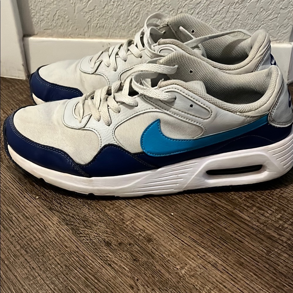 Nike Air Max Pure Platinum